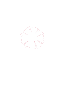 Tajima Kazumi Ballet Studio