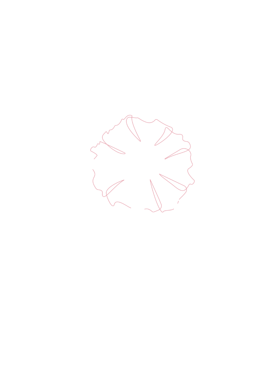 Tajima Kazumi Ballet Studio